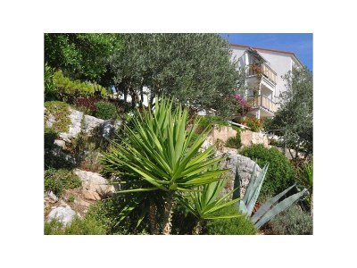 Apartment Studio flat with balcony and sea view Pasadur, Lastovo AS-8351-b - Outdoor photo 6