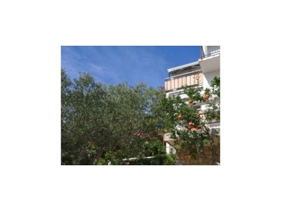 Apartment Studio flat with balcony and sea view Pasadur, Lastovo AS-8351-b - Outdoor photo 8