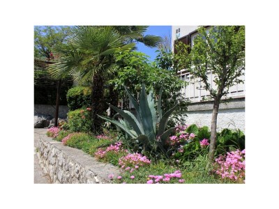 Apartment One bedroom apartment with terrace Oprič, Opatija A-7716-a - Outdoor photo 4
