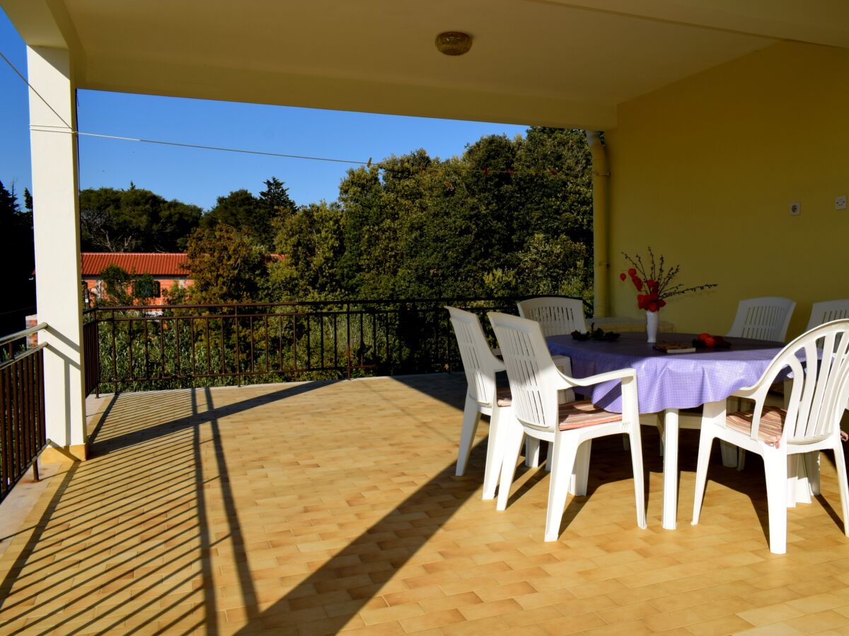 Apartment Three bedroom apartment with terrace and sea view Ugljan A-8493-a
