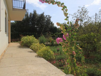 Apartment Three bedroom apartment with terrace and sea view Ugljan A-8493-a - Outdoor photo 9