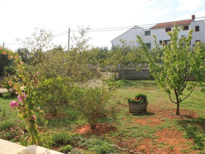 Apartment One bedroom apartment with terrace Ugljan A-8493-b - Outdoor photo 7