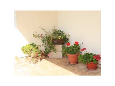 Apartment One bedroom apartment with terrace Ugljan A-8493-b - Outdoor photo 15
