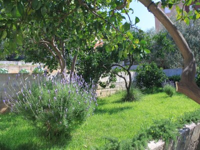 Apartment One bedroom apartment with terrace and sea view Trogir A-8683-a - Outdoor photo 7