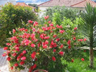 Apartment One bedroom apartment with terrace Trogir A-8683-b - Outdoor photo 6