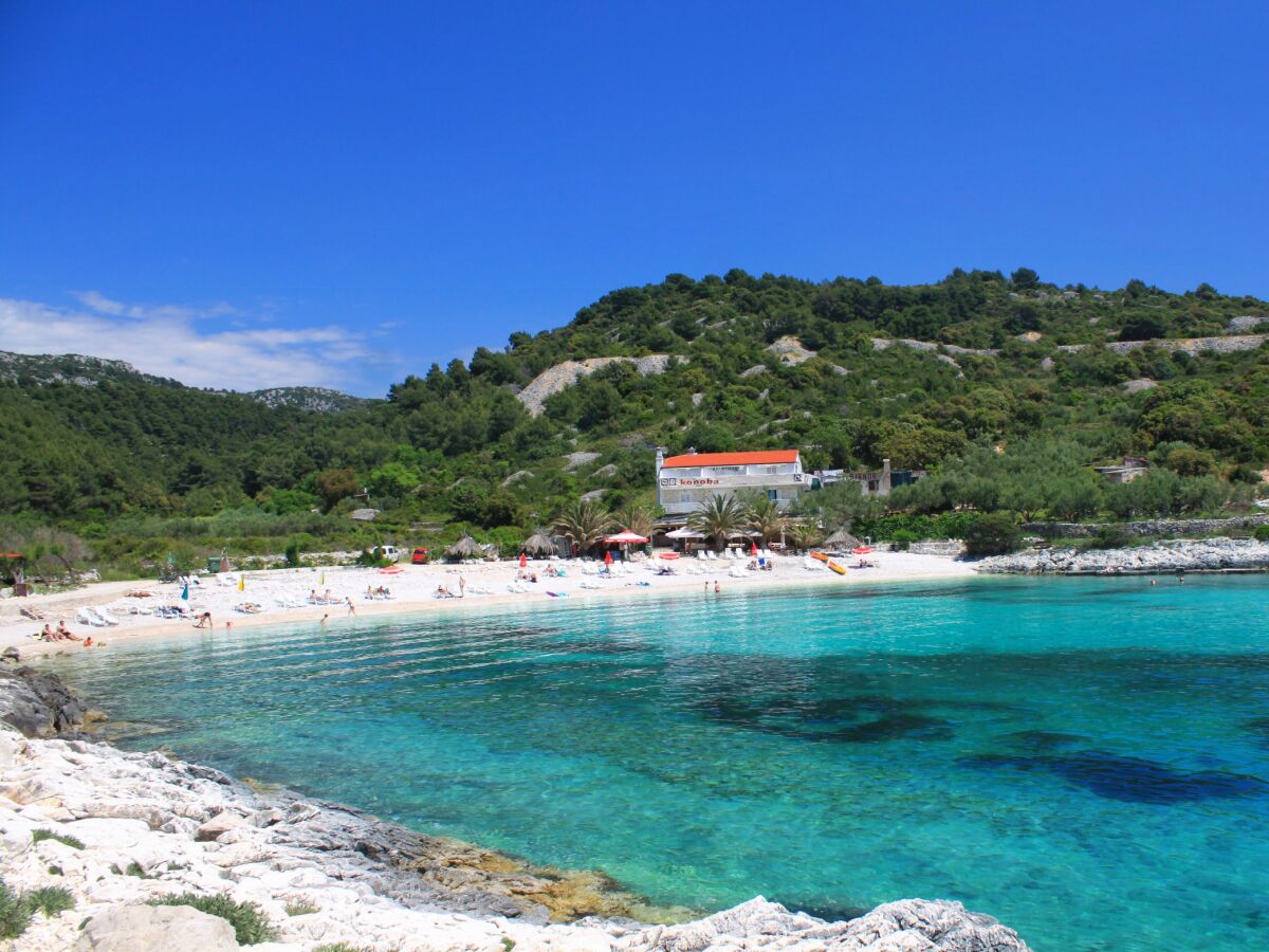 Apartment One bedroom apartment near beach Hvar A-10430-a