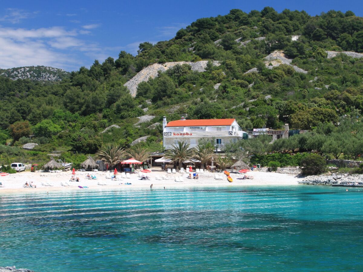 Apartment One bedroom apartment near beach Hvar A-10430-a - Outdoor photo 3