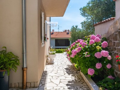 Apartment One bedroom apartment with terrace and sea view Rab A-14120-a - Outdoor photo 9