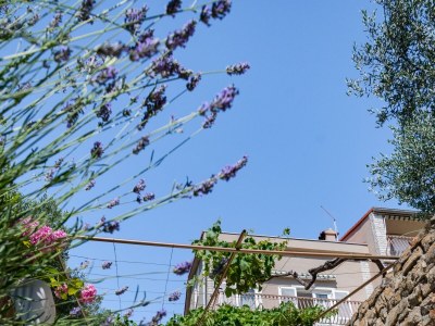 Apartment One bedroom apartment with terrace and sea view Rab A-14120-a - Outdoor photo 10