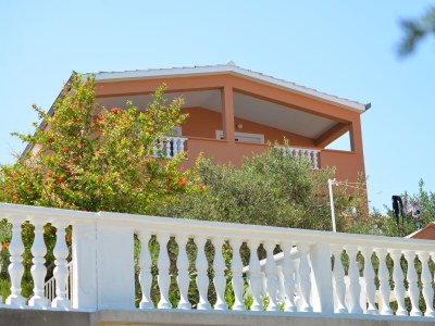 Apartment Two bedroom apartment near beach Tkon, Pašman A-16589-c in Tkon - Apartment