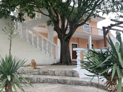 Apartment One bedroom apartment with terrace and sea view Seline, Paklenica A-17955-d - Outdoor photo 12