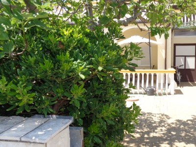 Apartment Two bedroom apartment with terrace Vir A-17069-b - Outdoor photo 6