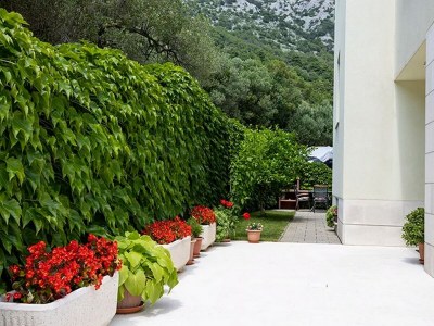 Apartment Two bedroom apartment with terrace and sea view Igrane, Makarska A-17292-c - Outdoor photo 3