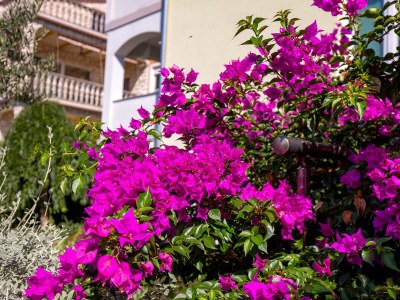 Apartment Two bedroom apartment with terrace and sea view Kraljevica A-17589-c - Outdoor photo 9
