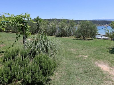 Apartment One bedroom apartment near beach Supetarska Draga - Gonar, Rab A-18650-b - Outdoor photo 9