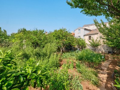 Holiday room with terrace Veli Lošinj, Lošinj S-21045-e - Outdoor photo 15