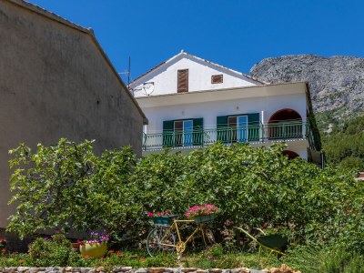 Apartment Two bedroom apartment with terrace and sea view Brist, Makarska A-22463-c - Outdoor photo 3