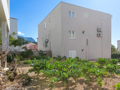 Apartment Studio flat with terrace Tučepi, Makarska AS-22936-a - Outdoor photo 7