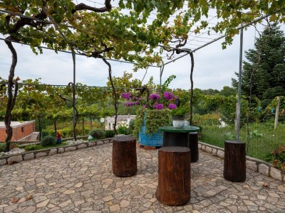 Apartment Two bedroom apartment with terrace and sea view Lopar, Rab A-23736-b - Outdoor photo 11
