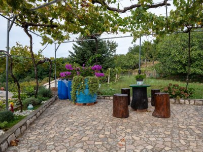 Apartment One bedroom apartment with terrace and sea view Lopar, Rab A-23736-c - Outdoor photo 11