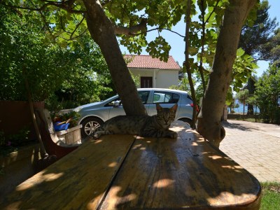 Apartment Studio flat near beach Petrčane, Zadar AS-17179-a - Outdoor photo 8