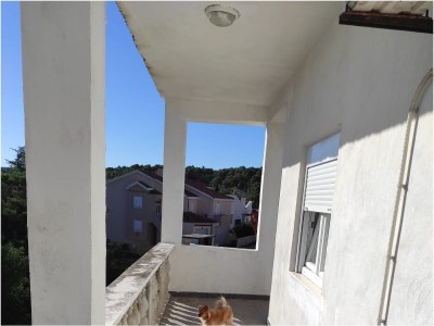 Apartment Four-bedroom apartment with terrace and sea view Pridraga - Cuskijaš, Novigrad A-24025-c - Outdoor photo 20