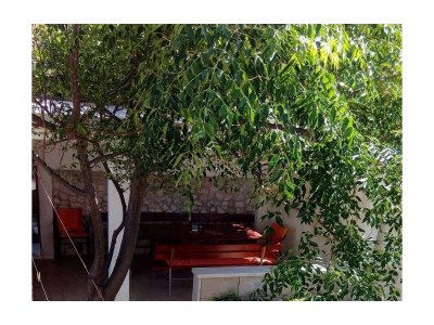 Apartment One bedroom apartment near beach Povlja, Brač A-24248-c - Outdoor photo 5