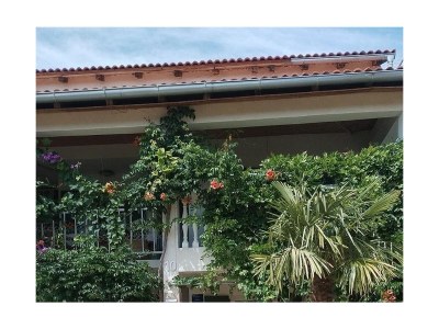 Apartment One bedroom apartment with terrace and sea view Seline, Paklenica A-24806-b - Outdoor photo 4