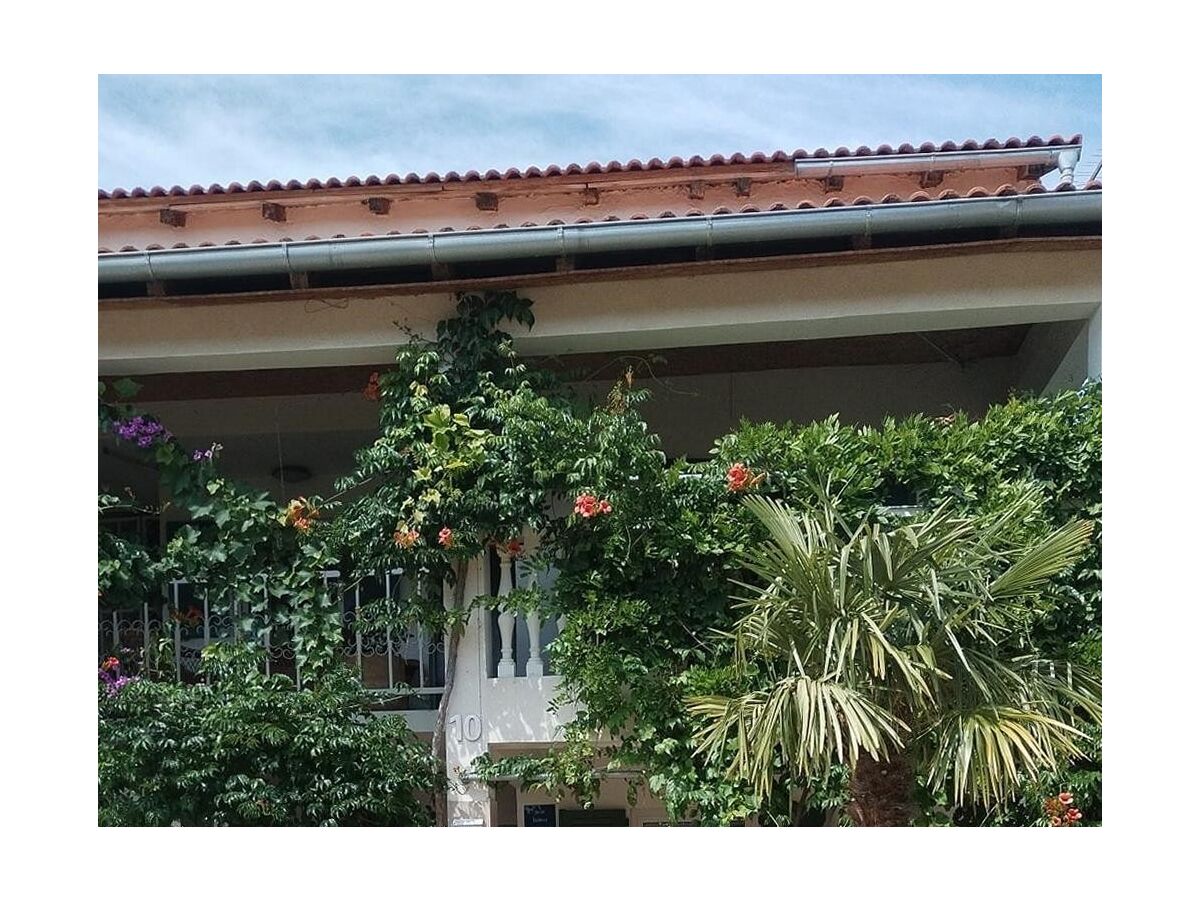 Apartment One bedroom apartment with terrace Seline, Paklenica A-24806-d - Outdoor photo 4