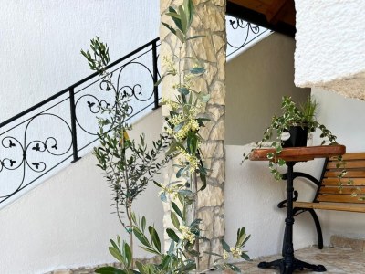 Apartment One bedroom apartment near beach Potočnica, Pag A-222-e - Outdoor photo 16