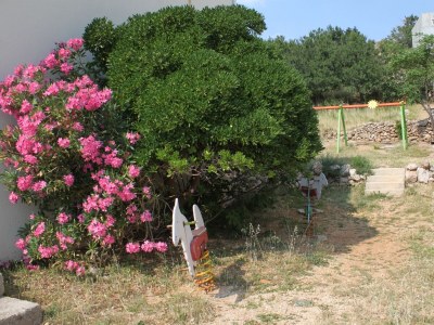 Apartment One bedroom apartment near beach Metajna, Pag A-6522-f - Outdoor photo 9