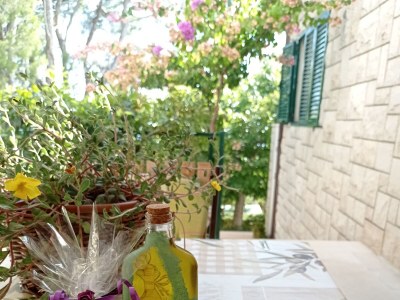 Apartment Two bedroom apartment with terrace Brela, Makarska A-20186-a - Outdoor photo 13
