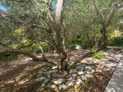 Apartment Studio flat with terrace and sea view Brela, Makarska AS-20186-a - Outdoor photo 11