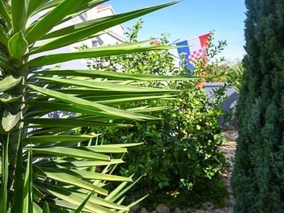 Apartment Studio flat with terrace Bibinje, Zadar AS-18066-b - Outdoor photo 15