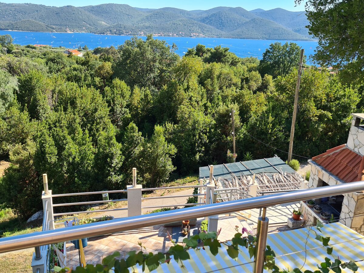 Apartment One bedroom apartment with terrace and sea view Viganj, Pelješac A-21912-a