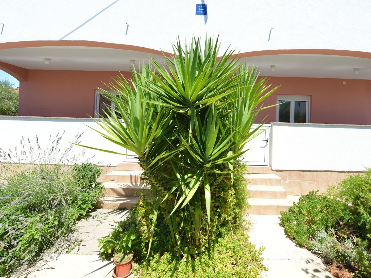 Apartment Two bedroom apartment with terrace and sea view Vir A-24953-a - Outdoor photo 3