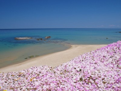 Holiday house Vista mare, ampio terrazzo e aria condizionata - Environment photo 37