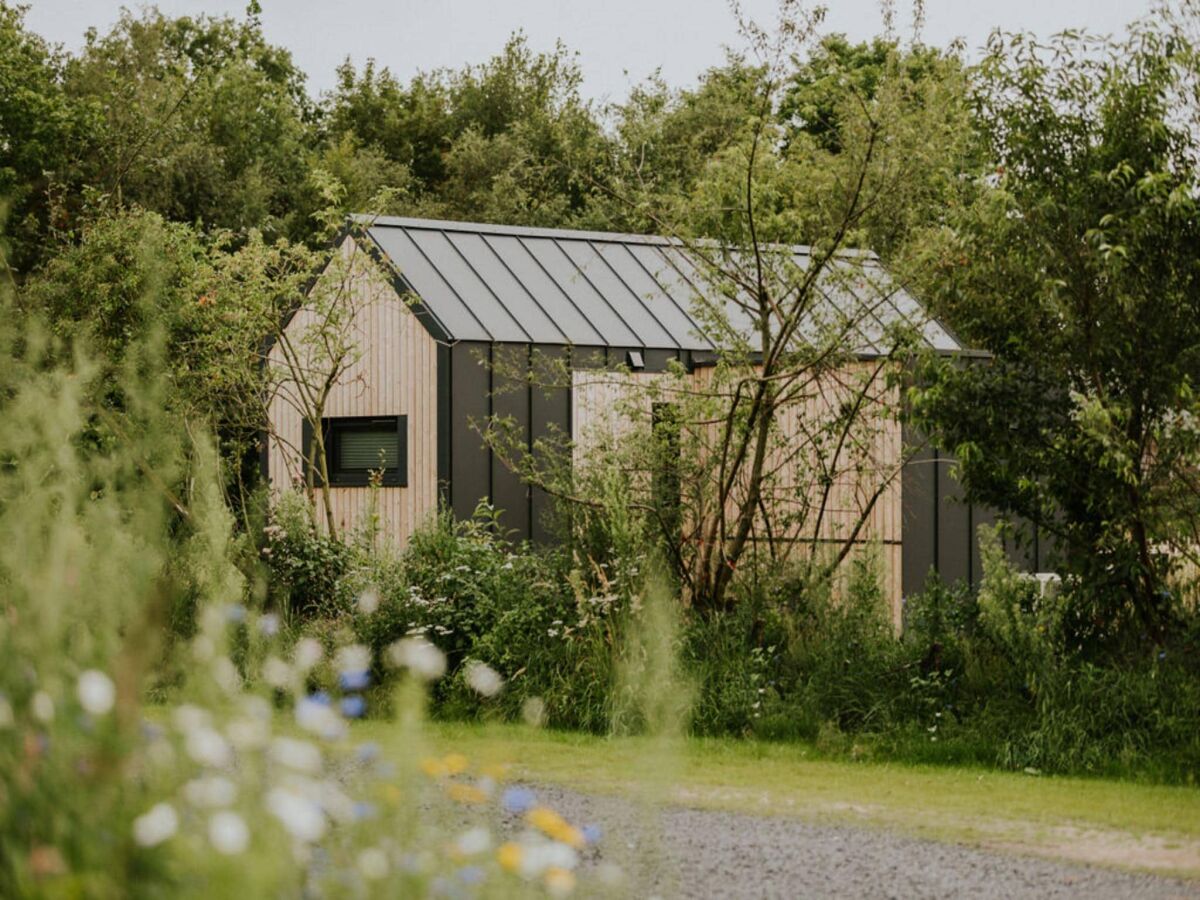 Holiday park Charming Tiny House Getaway with Terrace. - Outdoor photo 2