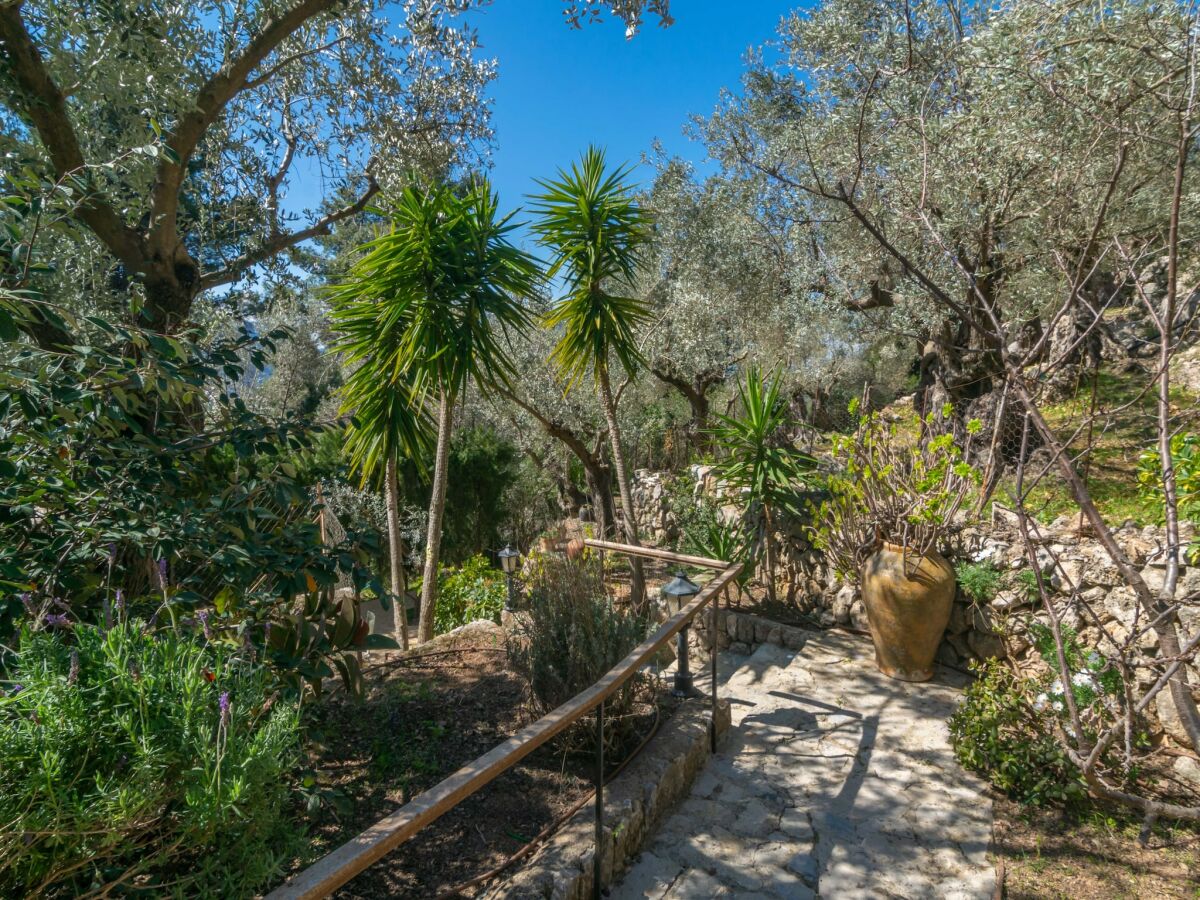Holiday house Es Coll D'en Pastor - Country House In Fornalutx - Outdoor photo 4