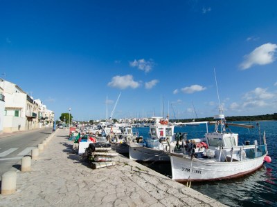 Holiday house Cas Faroler - Haus In Portocolom. Wifi Gratis - Environment photo 12