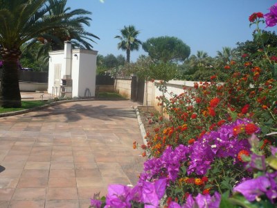 Villa Llampudol (villa Sa Coma) - Villa With Pool - Outdoor photo 9