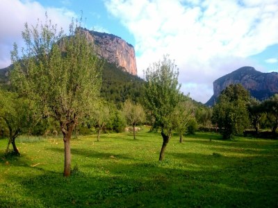 Holiday house Ca Na Carme (alaronera) - House In Alaró - Environment photo 29