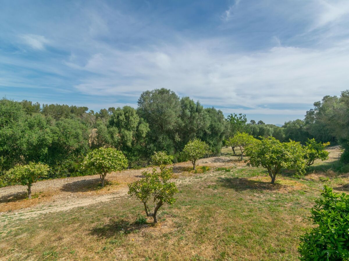 Villa Son Barrigo - Villa With Private Pool In Porreres - Outdoor photo 4