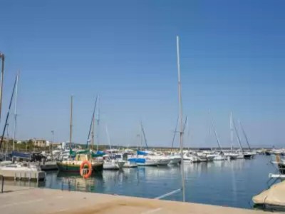 Holiday house Ca Na Maria (dorant) - House - Environment photo 22