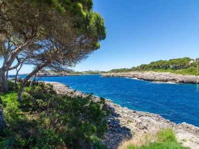 Villa Ca Na Martina - Villa With Private Pool. Free Wifi - Outdoor photo 32