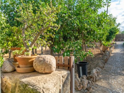 Villa Finca Son Matginet 18 - Ferienhaus Mit Pool - Outdoor photo 41