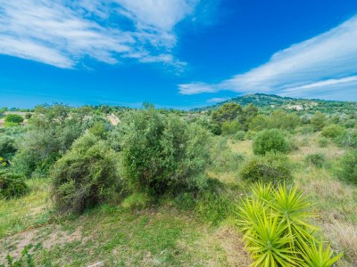 Villa Can Canals - Villa With Private Pool In Artà - Environment photo 35
