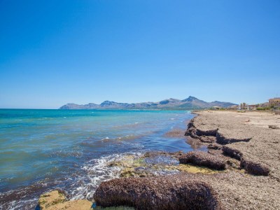 Holiday house Porta De La Mar - House In Son Serra De Marina - Environment photo 28