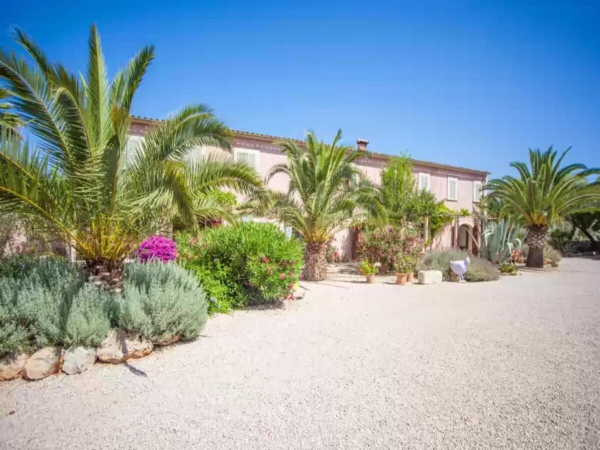 Apartment Can Pina - Eco Pina - - Apartment In Costitx - Outdoor photo 2