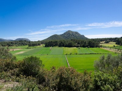 Villa Can Pistola - Villa With Private Pool In Algaida - Environment photo 26